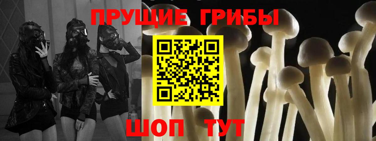 Псилоцибиновые грибы Psilocybe  Вход с VPN  Ковров  Галлюциногенные грибы MAGIC MUSHROOMS 